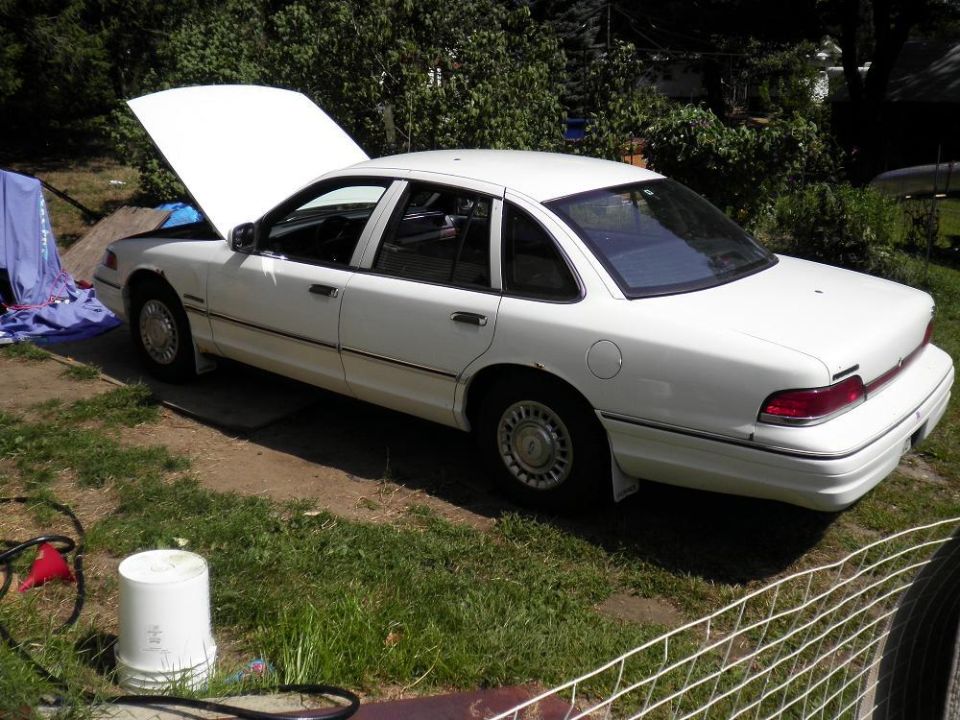 White Ford Crown Victoria sedan with hood open parked in a yard
