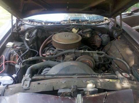 1974 Ford Elite - The engine bay of a 1974 Ford Elite reveals its V8 engine and associated components under the hood.