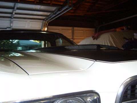 1973 Ford Ranchero - The front of a 1973 Ford Ranchero is visible, a black hood scoop and a racing stripe.