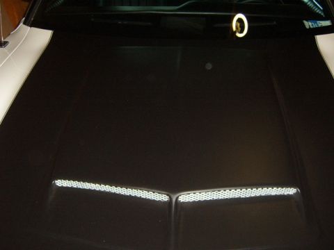 1973 Ford Ranchero - Front view of a 1973 Ford Ranchero hood a black center stripe and white side stripes.