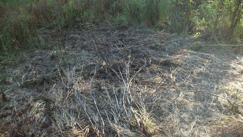 Overgrown field with dry grass and branches, Supermotors.net logo visible