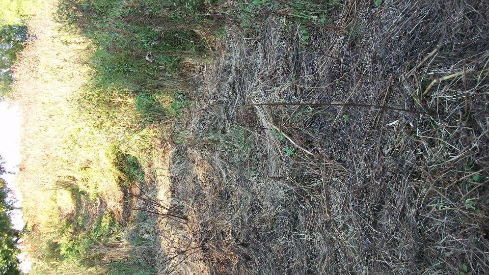 Overgrown field with dry grass and green bushes, a Supermotors.net watermark in the lower right corner