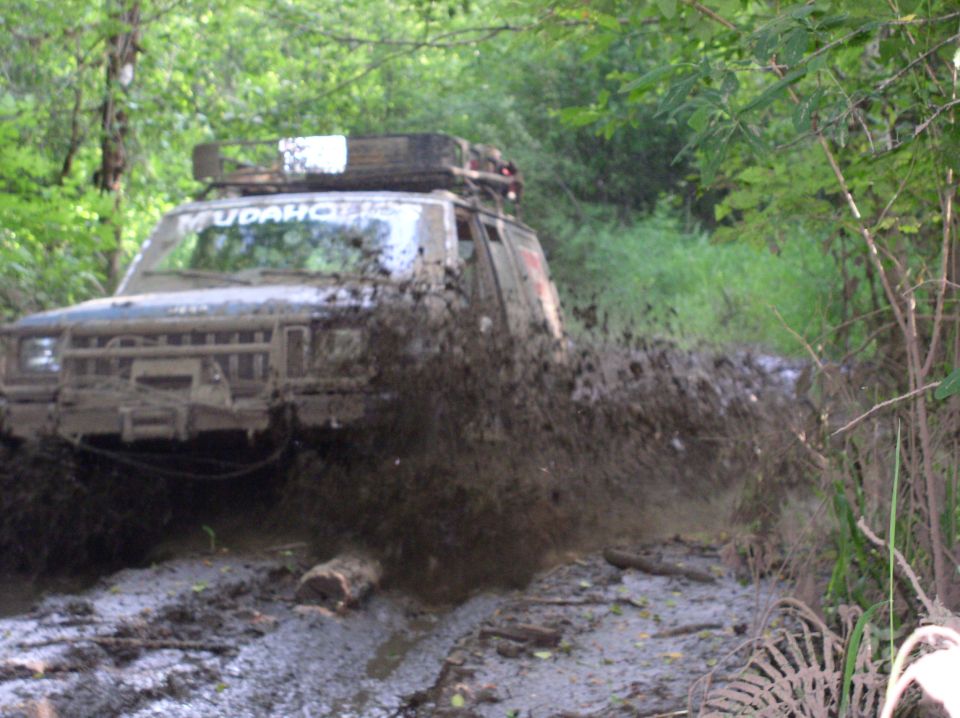 MY Brothers Cherokee 
(It recently died so its now gone)