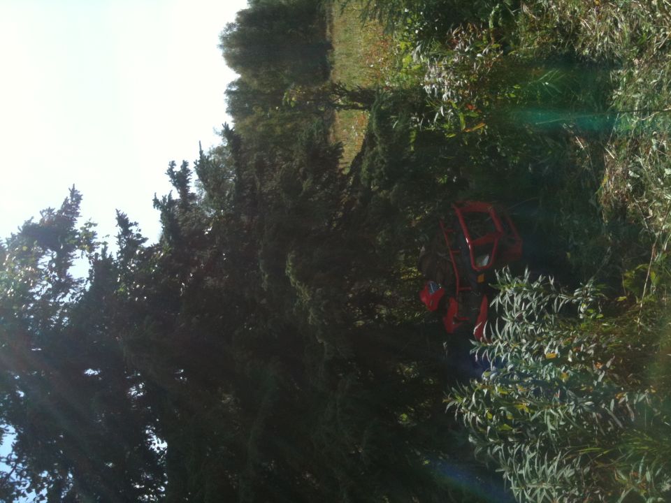 Red ATV partially obscured by foliage, seen from the side