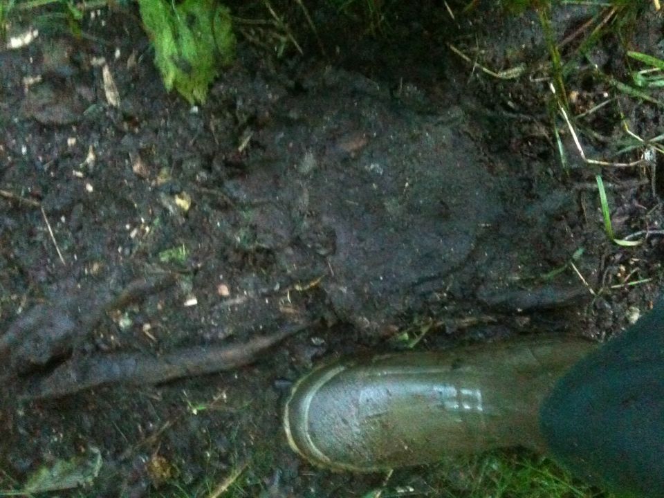 Muddy ground with a green rubber boot in the foreground