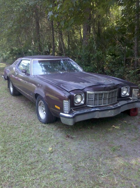 1974 Ford Elite - This 1974 Ford Elite coupe is parked outdoors on a grassy area with trees in the background.