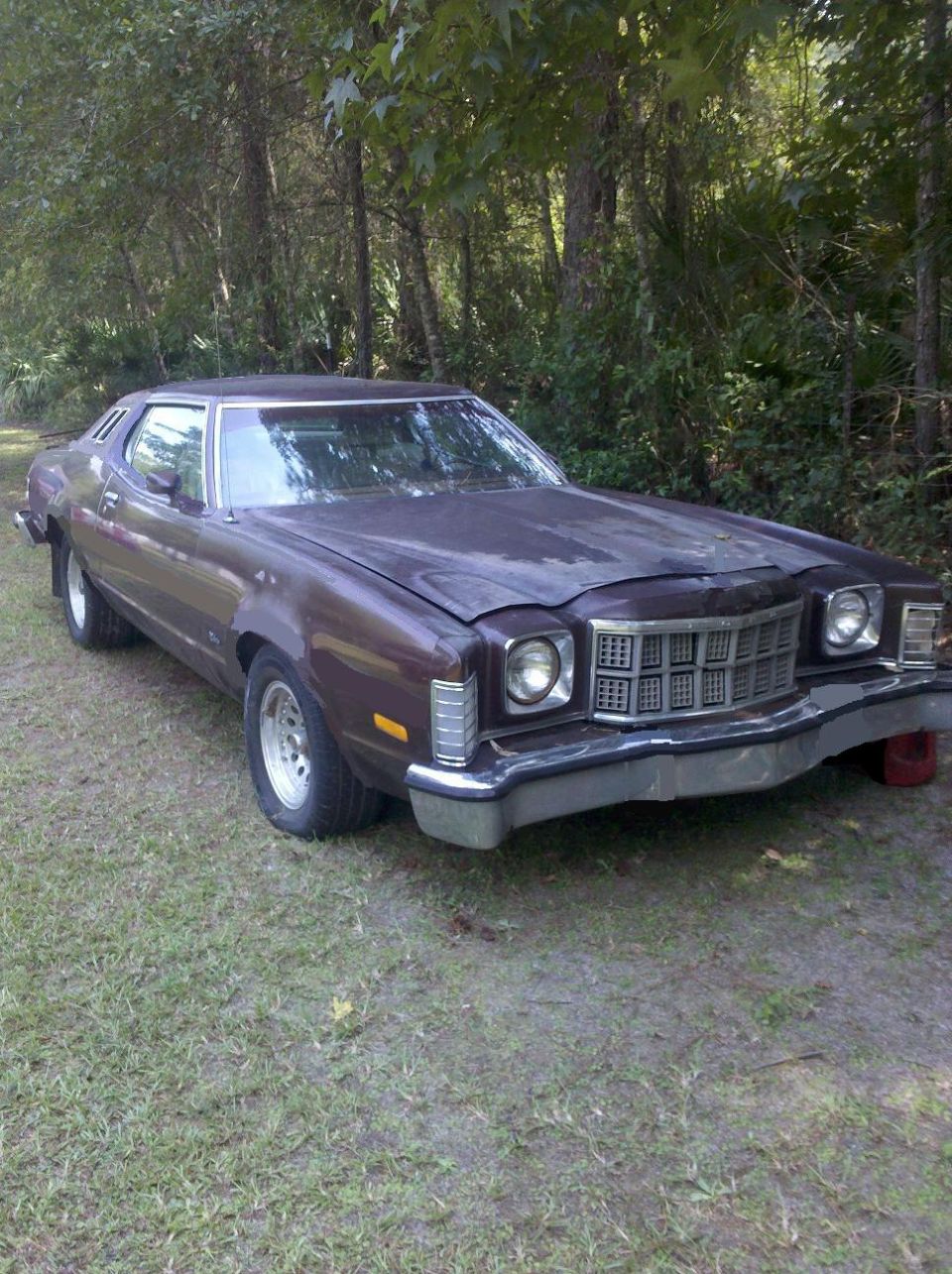 1974 Ford Elite coupe parked on grass, front 3/4 view. Dark brown paint, chrome grille, quad headlights