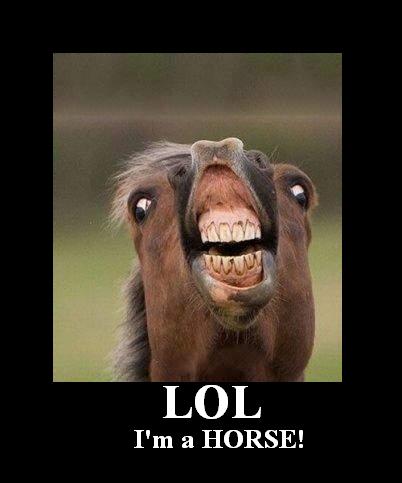 1991 Ford Bronco - A horse makes a funny face with its mouth wide open, captioned 'LOL I'm a HORSE!'