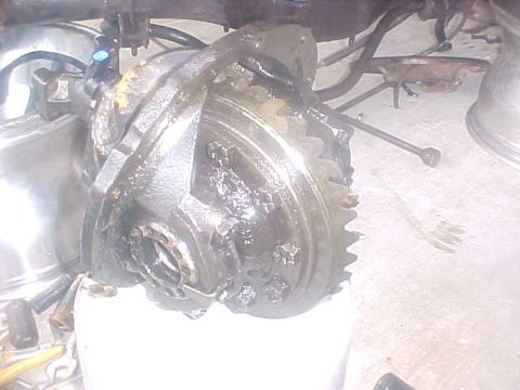 1996 Ford Bronco - Differential gear assembly with visible teeth, likely from a vehicle's drivetrain.