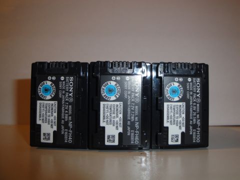 1993 Ford Taurus - Three Sony camera battery packs are lined up, showing model numbers NP-FH40, NP-FH60, and NP-FH100.