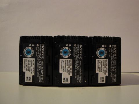 1993 Ford Taurus - Three Sony NP-FH series battery packs are displayed, showing model numbers and specifications.