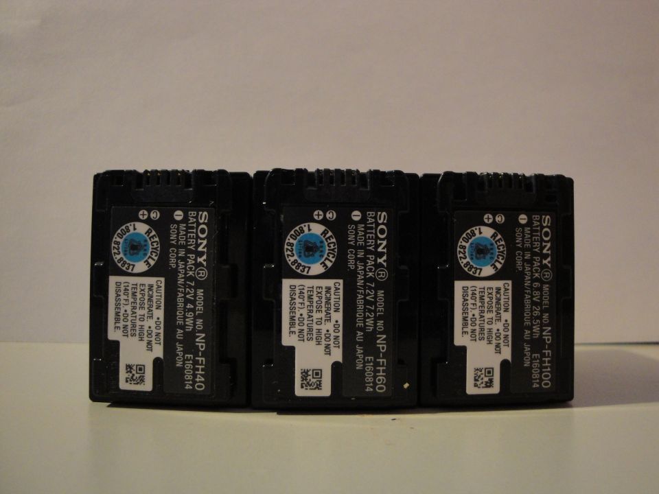 Three Sony NP-FH series battery packs lined up: NP-FH40, NP-FH60, and NP-FH100