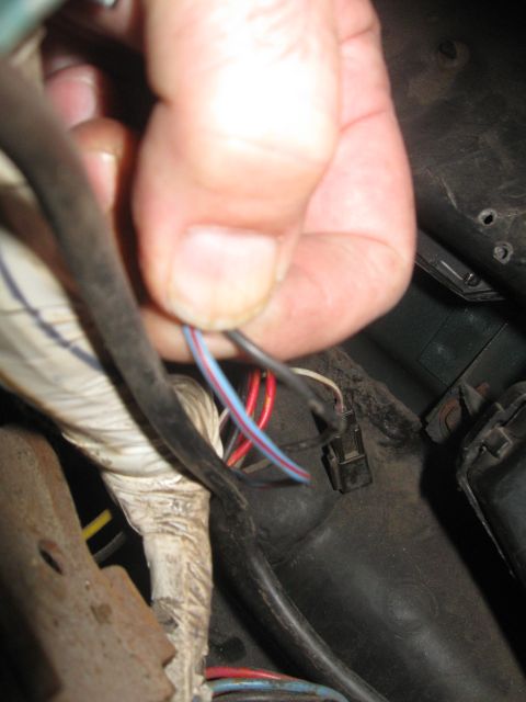 1981 Ford Bronco - Close-up of a vehicle's wiring harness with exposed wires being held.