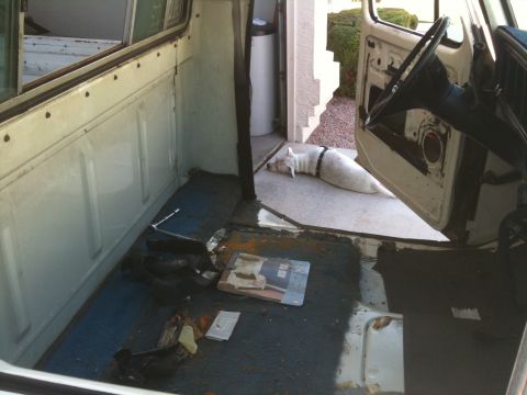 1979 Ford F-350 - Interior of a truck with the door removed, showing a bare floor and a dog resting outside.
