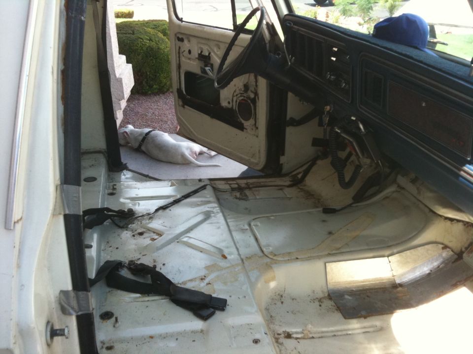 White dog lying on the floor of a dismantled 1979 Ford F-350 interior, showing exposed metal and wiring