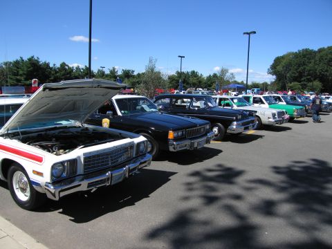 1991 Ford LTD Crown Victoria - row of vintage police cars, several with hoods raised, lined up at a sunny outdoor vehicle show.