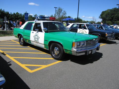 1991 Ford LTD Crown Victoria - green-and-white police sedan with a round star door shield and roof light bar is parked in a hatched show space beside other patrol cars.