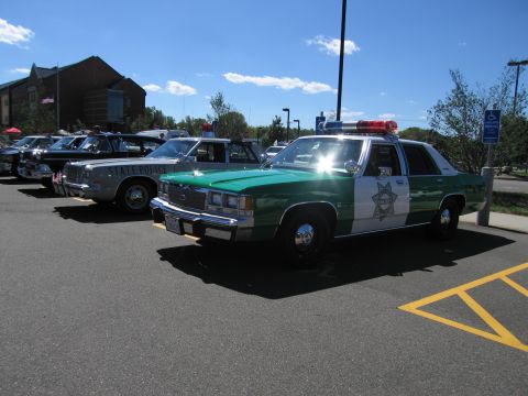 1991 Ford LTD Crown Victoria - green-and-white police sedan with a roof light bar and star door shield is parked among other marked patrol cars in a sunny lot.