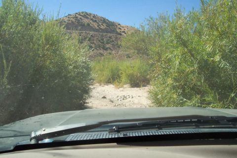 1995 Ford Bronco - View from inside a vehicle as it navigates a dry creek bed surrounded by vegetation under a clear blue sky.