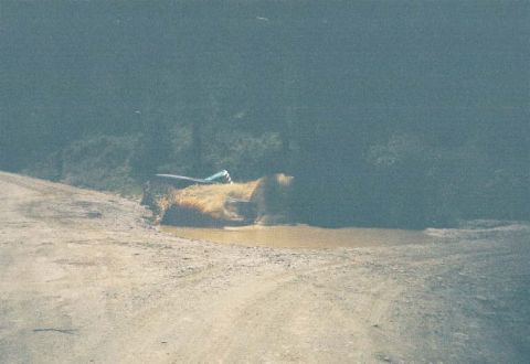 1991 Ford Bronco - An off-road vehicle appears stuck in a muddy puddle on a dirt track, surrounded by vegetation.