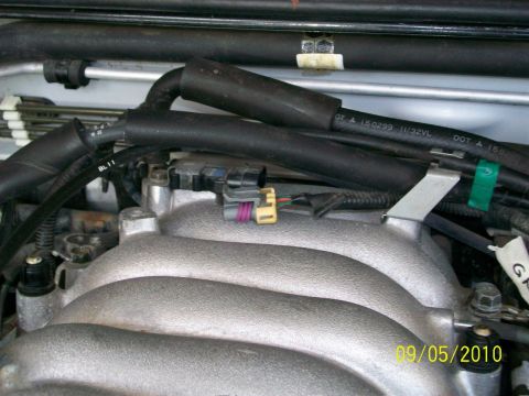 1999 Isuzu Vehicross “Bugzy”