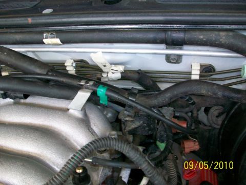 1999 Isuzu Vehicross “Bugzy”