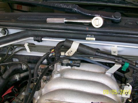1999 Isuzu Vehicross “Bugzy”