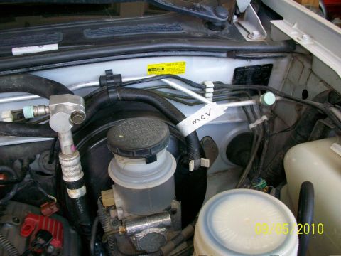 1999 Isuzu Vehicross “Bugzy”