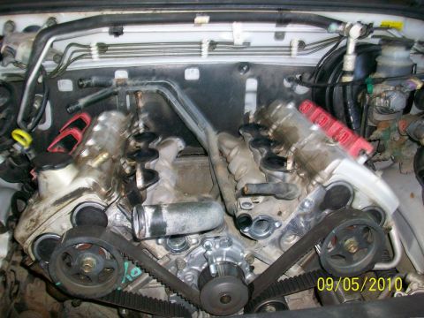 1999 Isuzu Vehicross “Bugzy”