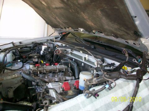 1999 Isuzu Vehicross “Bugzy”