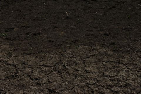 1992 Ford Bronco - Dry, cracked earth is visible in this scene, with a website address in the lower right corner.