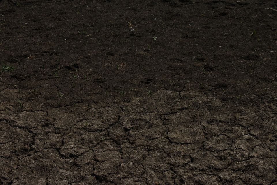 Dry cracked earth with SUPERMOTORS.NET text