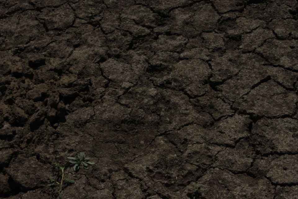 Cracked dry earth with a small green plant growing in the lower left. Watermark reads SUPERMOTORS