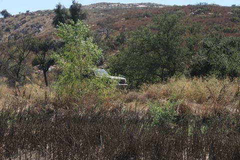 1992 Ford Bronco - An SUV is partially hidden by overgrown vegetation on a dry, hilly landscape.