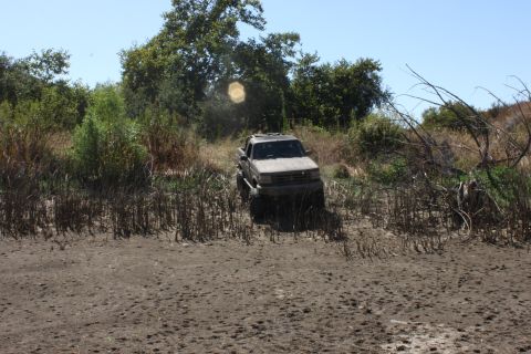 1992 Ford Bronco - A pickup truck is partially submerged in mud, surrounded by vegetation under a clear sky.