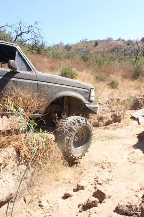 1992 Ford Bronco - This 1992 Ford Bronco is captured mid-action on a challenging off-road trail, its capabilities.