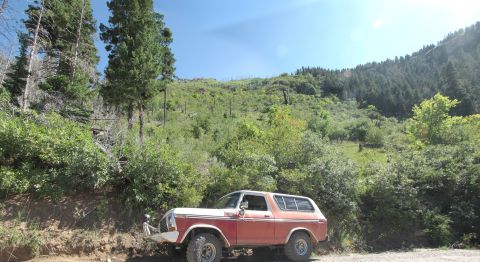 1978 Ford Bronco - 1978 Ford Bronco parked on a dirt road with a wooded hillside under a clear blue sky.