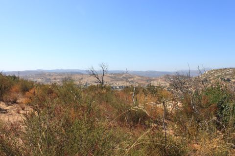 1992 Ford Bronco - A wide view of arid hills and vegetation under a bright, cloudless sky.