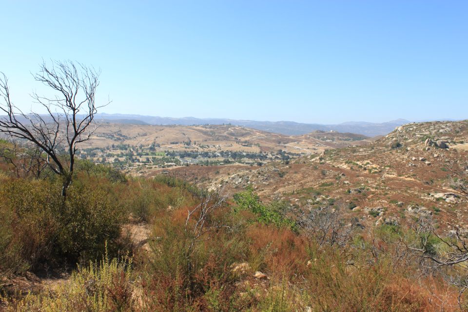 dry, hilly terrain under a clear blue sky with sparse vegetation and a dead tree in the foreground