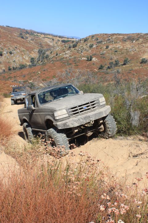 1992 Ford Bronco - Two Ford F-Series trucks navigate a dusty, arid trail with sparse vegetation and hills in the background.