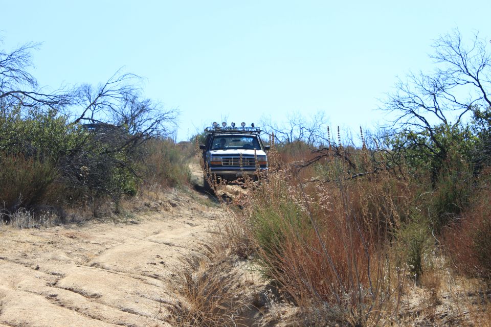 Ford F-Series truck driving up a dirt trail with brush on either side. It has a light bar on the roof