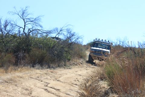 1992 Ford Bronco - A white SUV navigates a dry, brush-lined dirt path under a clear blue sky.