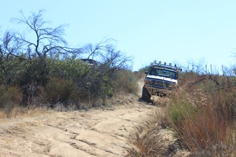 1992 Ford Bronco - A white 1992 Ford Bronco navigates a dusty, overgrown trail with another vehicle visible in the background.