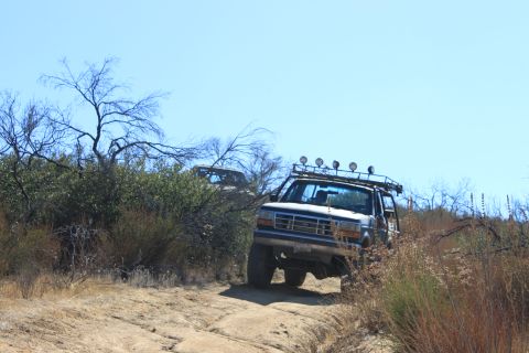1992 Ford Bronco - A white 1992 Ford Bronco navigates a dusty trail with another vehicle visible in the background.