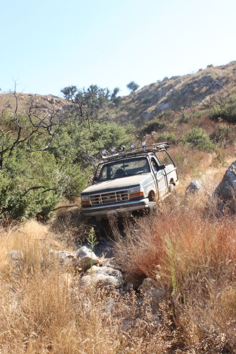 1992 Ford Bronco - A Ford F-series truck navigates a , dry, and overgrown off-road path.