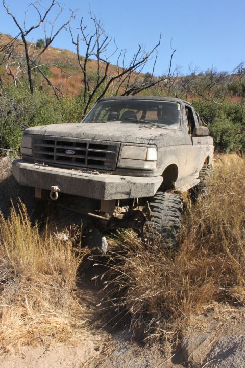 1992 Ford Bronco - Mud-covered 1992 Ford Bronco parked on a dry, overgrown trail with dead trees in the background.