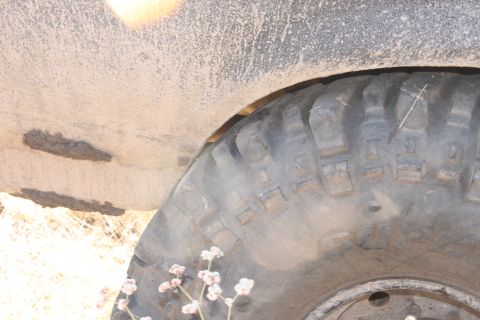 1992 Ford Bronco - A close-up view of a large off-road tire and the vehicle's fender, with dry grass in the foreground.