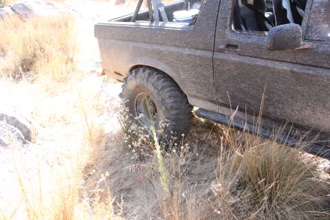 1992 Ford Bronco - This 1992 Ford Bronco is shown from the side, covered in dirt and equipped with off-road tires.