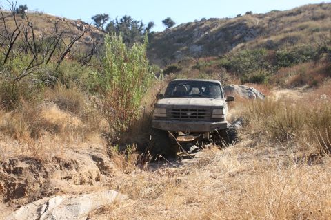 1992 Ford Bronco - A dusty Ford truck is shown driving through a , overgrown terrain.
