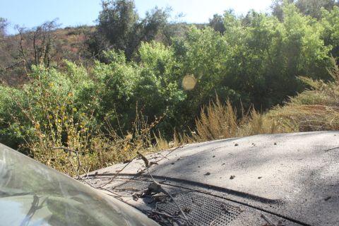 1992 Ford Bronco - A car hood is visible in the foreground, with a natural landscape of trees and brush behind it.